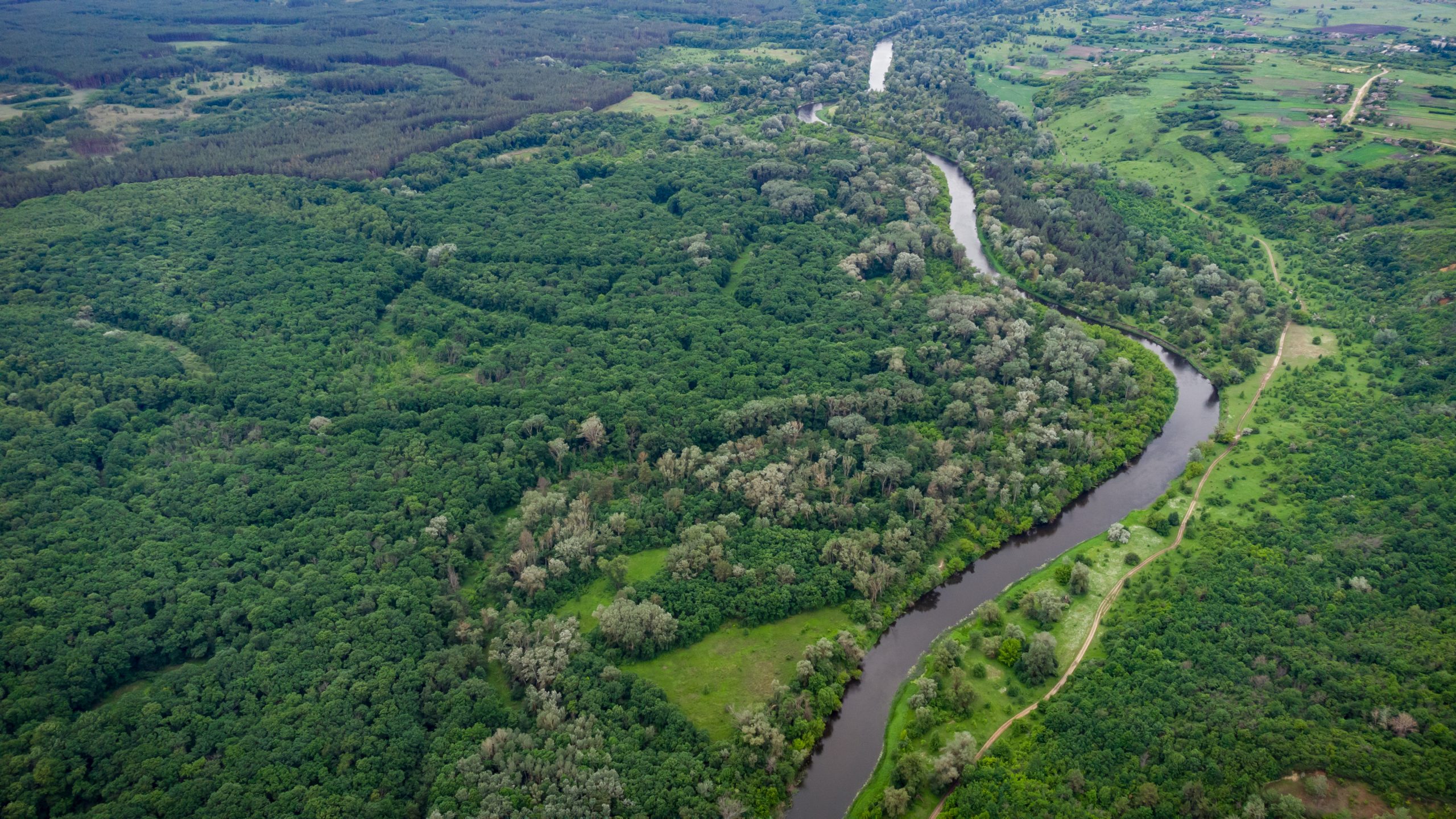 Aerial view over the river which is on the green forest. drone photo